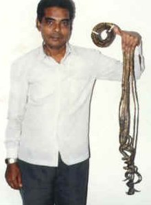 Die l�ngsten Fingern�gel