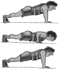 correct body position for push-ups (GIF, 10 kB)